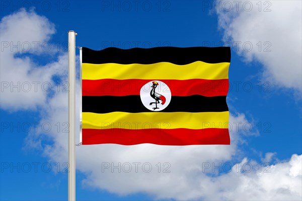 The flag of Uganda, Africa, East Africa, Studio