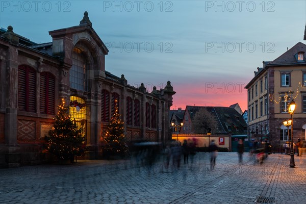 Market hall, Little Venice, Petite Venise, Christmas trees, historic houses, historic town, Blue Hour, The Fishermen's Market, Colmar, Alsace, France, Europe