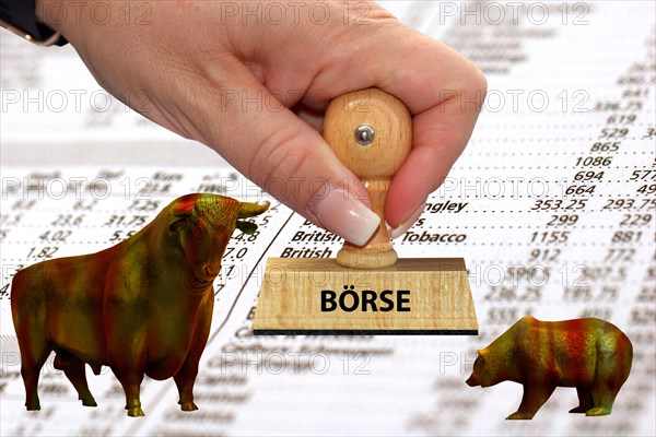 Bull and bear, symbolic figures of the stock market, Studio