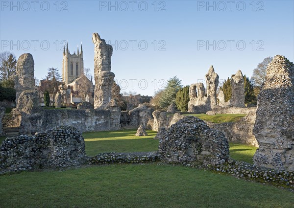 Abbey monastic ruins and cathedral grounds, Bury St Edmunds, Suffolk, England, UK