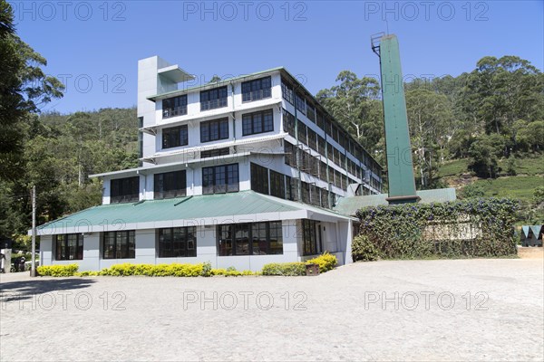 Mackwoods tea estate factory, Nuwara Eliya, Central Province, Sri Lanka, Asia