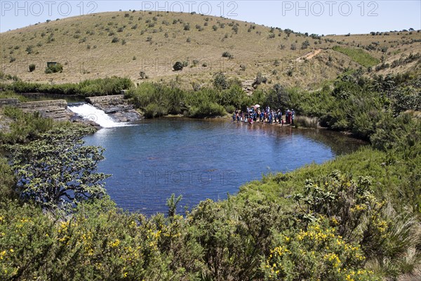 Weir and pool in the Belihul Oya river, Horton Plains National Park, Central Province, Sri Lanka, Asia