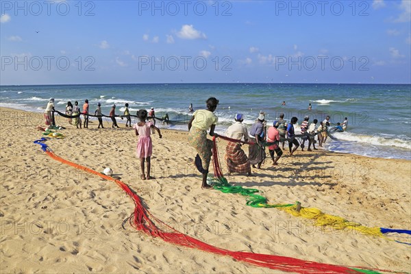 Traditional fishing hauling nets Nilavelli beach, near Trincomalee, Eastern province, Sri Lanka, Asia