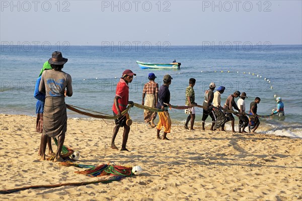 Traditional fishing hauling nets Nilavelli beach, near Trincomalee, Eastern province, Sri Lanka, Asia