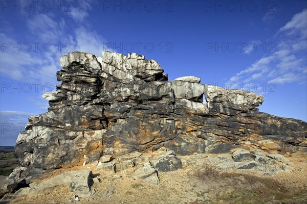 The Mittelsteine near Weddersleben, part of the Teufelsmauer, Devil's Wall, sandstone rock formation in the Harz, Saxony-Anhalt, Germany, Europe