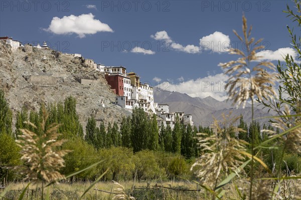 Spituk Gompa, the Buddhist monastery located near Leh, the capital of Ladakh region in Northern India. It belongs to the Gelug school of the Tibetan Buddhism. Spituk, Leh District, Union Territory of Ladakh, India, Asia