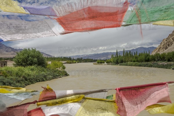 Mid-summer view of the Indus River, seen from the Buddhist prayer flags decorated bridge in Central Ladakh. As the river is fed by glaciers and snow, its waters are usually high in summer when melting is intense, as seen here. Leh District, Union Territory of Ladakh, India, Asia
