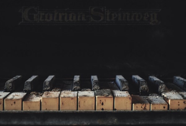 Dusty, worn piano keys of an old Steinway piano in a dark atmosphere, urologist's villa Dr Anna L., Lost Place, Bad Wildungen, Hesse, Germany, Europe