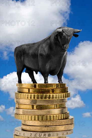 Bull market, bull on euro coins, cumulus clouds in front of blue sky, East Frisia, Lower Saxony, Federal Republic of Germany