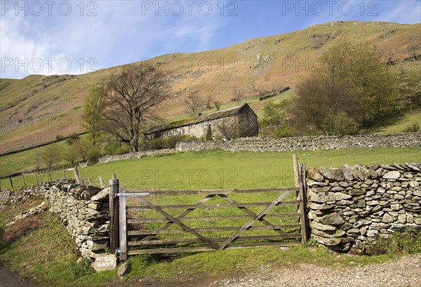 Boredale valley, Martindale, Lake District national park, Cumbria, England, UK