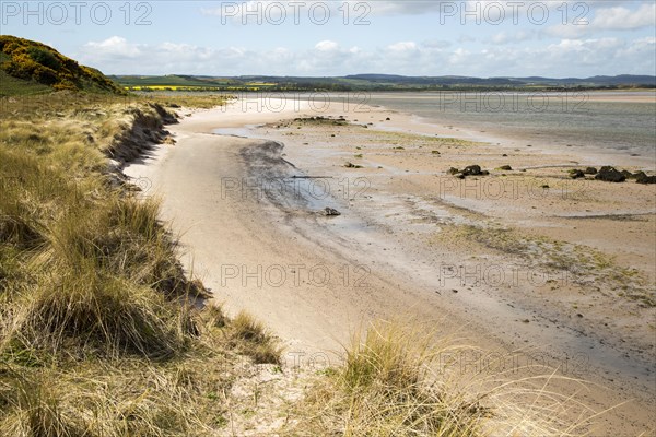 Sandy beach at low tide, Budle Bay, Northumberland, England, UK