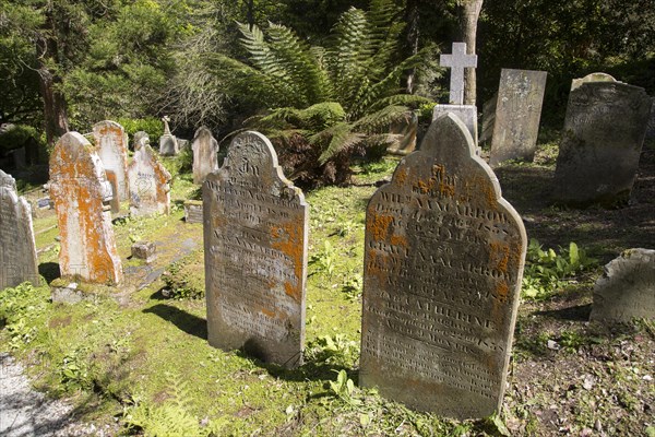 Historic gravestones amidst sub-tropical plants, St Just in Roseland, Cornwall, England, UK