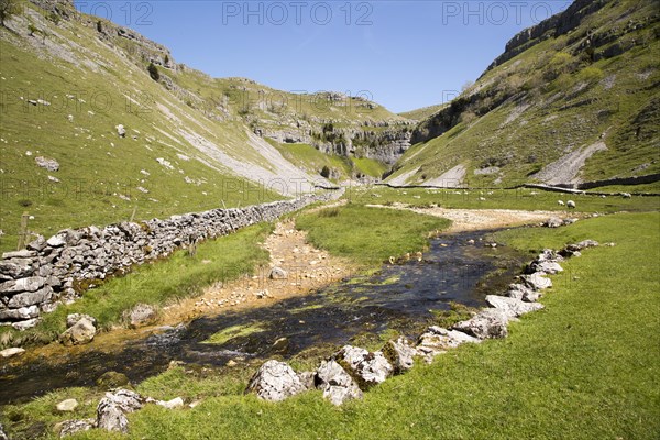 Gordale Scar carboniferous limestone gorge, Yorkshire Dales national park, England, UK