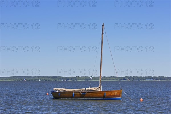 Auswanderer, traditional wooden sailing boat in Steinhuder Meer, Lake Steinhude, Lower Saxony, Niedersachsen, Germany, Europe