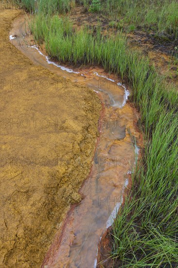 Paint Pots, iron-rich cold mineral springs in the Kootenay National Park, British Columbia, Canada, North America