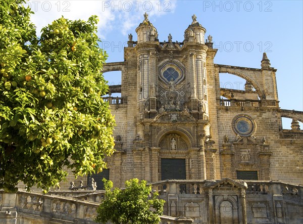 Cathedral church in Jerez de la Frontera, Cadiz province, Spain, Europe