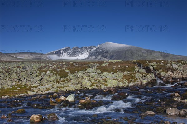 Snohetta, highest mountain in the Dovrefjell range, Dovrefjell-Sunndalsfjella National Park, Norway, Europe