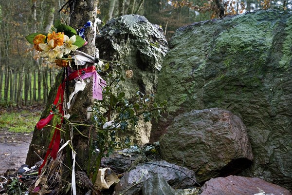 Merlin's menhir, tombeau de Merlin, Broceliande at Paimpont, Brittany, France, Europe