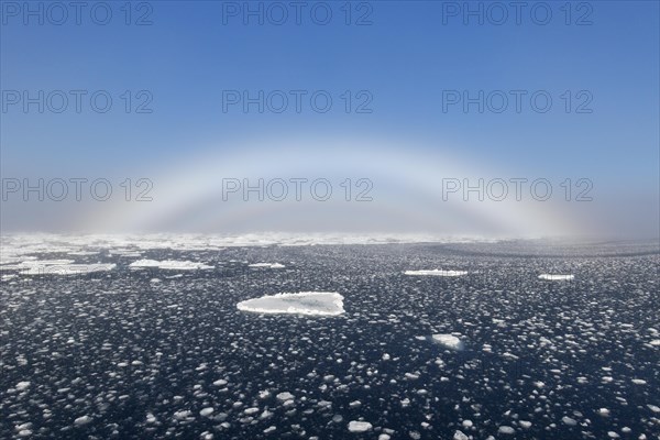 Fogbow, fog bow, white rainbow, sea-dog over the Arctic Sea at Svalbard, Norway, Europe