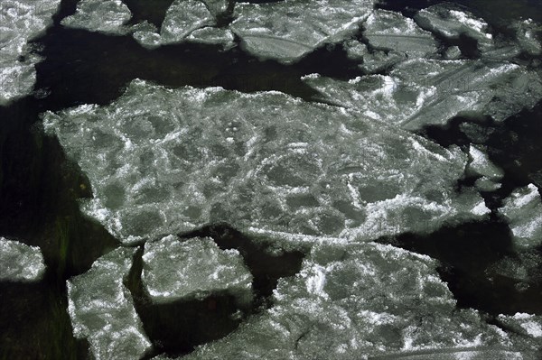 Pancake ice floating on river due to severe cold in winter, Belgium, Europe