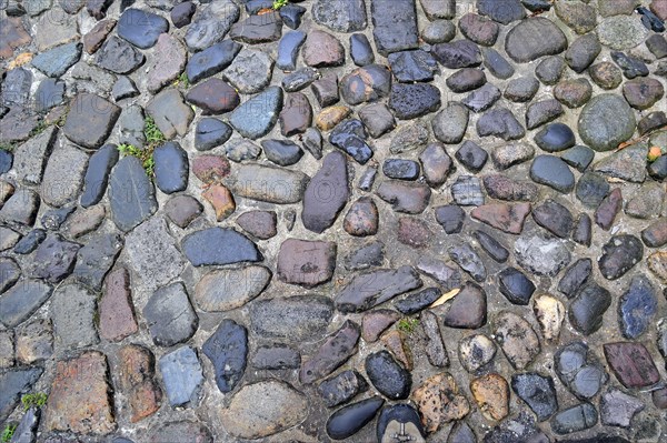 Paved road made of cobblestones, France, Europe