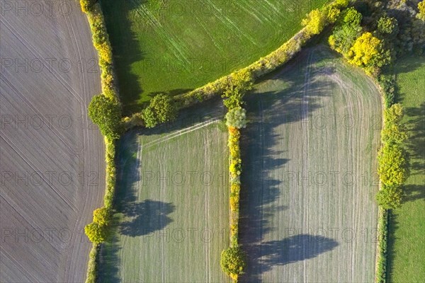 Aerial view over countryside showing bocage landscape with fields, meadows and pastures, patchwork of plots shielded by hedges and hedgerows in autumn