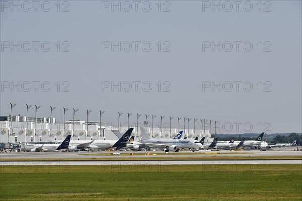 Overview Eurowings Discover, Lufthansa, ANA, All Nippon Airlines, Star Alliance aircraft at check-in position at Terminal 2, Munich Airport, Upper Bavaria, Bavaria, Germany, Europe