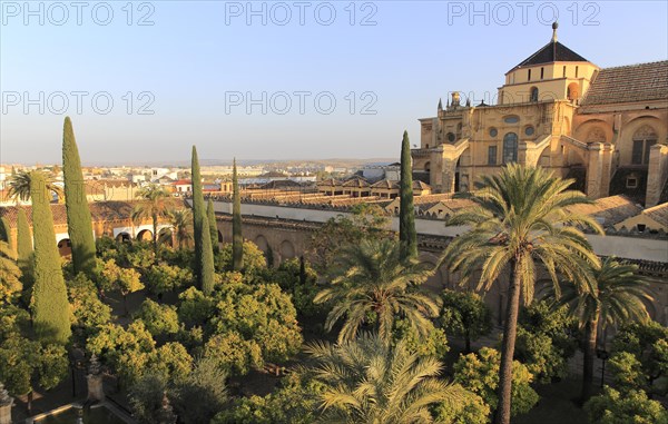 Raised angle view of Great Mosque, Mezquita cathedral, former mosque building in central, Cordoba, Spain, Europe