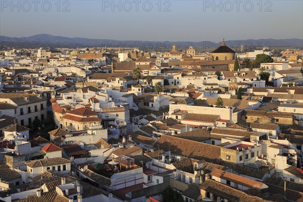 Oblique raised angle view of historic city centre buildings, Cordoba, Spain, Europe