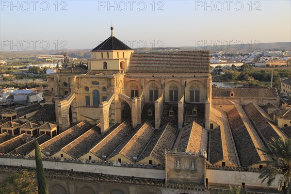 Raised angle view of Great Mosque, Mezquita cathedral, former mosque building in central, Cordoba, Spain, Europe