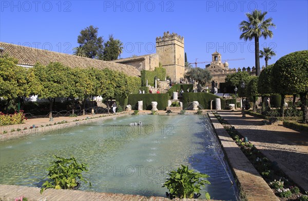 Gardens of the Alcazar de los Reyes Cristianos, Alcazar, Cordoba, Spain, Europe