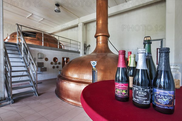 Copper brew kettles at Brouwerij Lindemans, Belgian brewery at Vlezenbeek, producer of geuze and kriek beer