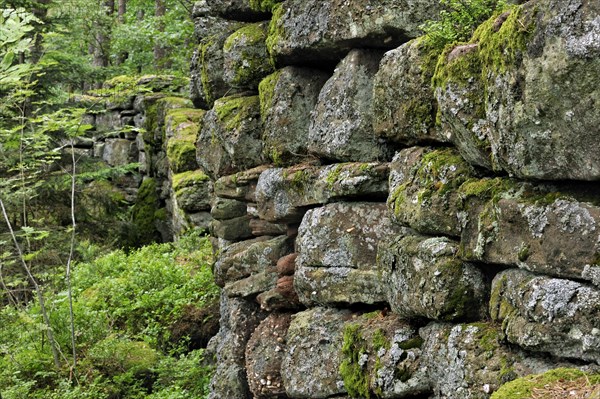 The Pagan Wall, Mur Paien in forest near Mont Sainte-Odile, Vosges, Alsace, France, Europe