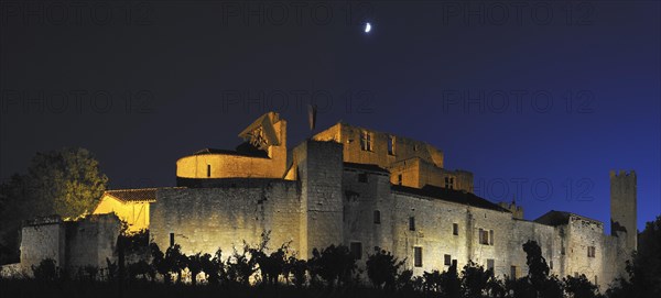 The mediaeval fortified village Larressingle at night in the Pyrenees, France, Europe