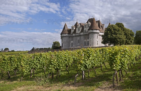 The castle Chateau de Monbazillac and vineyard, Dordogne, Aquitaine, France, Europe