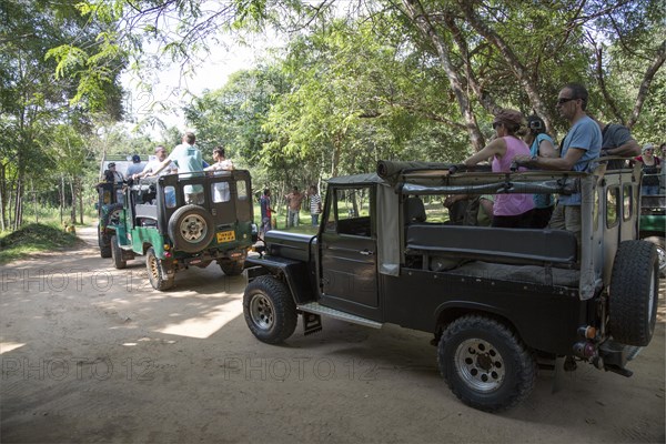 Elephant safari in Hurulu Eco Park biosphere reserve, Habarana, Anuradhapura District, Sri Lanka, Asia