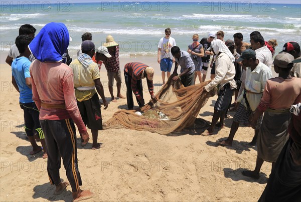 Traditional fishing hauling nets Nilavelli beach, near Trincomalee, Eastern province, Sri Lanka, Asia