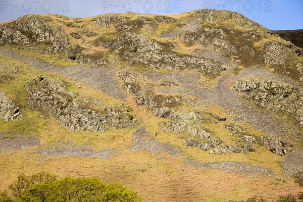 Hallin Fell, Howtown, Ullswater, Lake District national park, Cumbria, England, UK