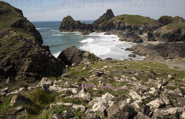 Coastal scenery near Kynance Cove, Lizard Peninsula, Cornwall, England, UK