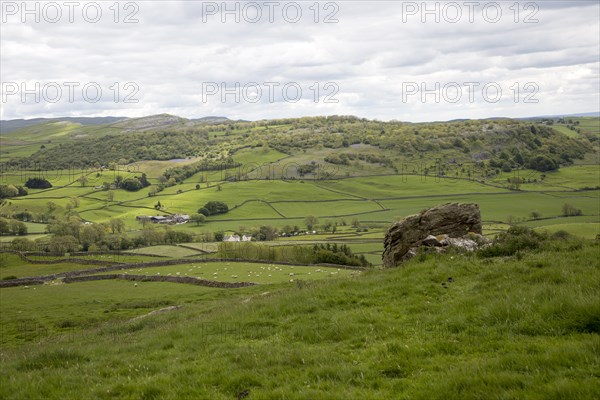 View over Yorkshire Dales national park, near Austwick, England, UK