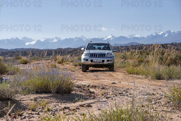 Off-road vehicle on off-road road, badlands, mountains behind, near Bokonbayevo, Yssykkoel, Kyrgyzstan, Asia