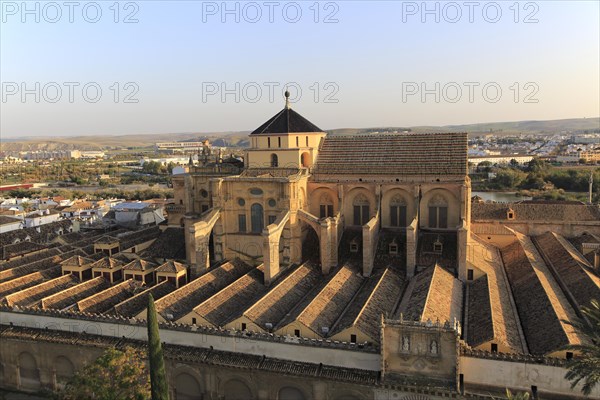 Raised angle view of Great Mosque, Mezquita cathedral, former mosque building in central, Cordoba, Spain, Europe