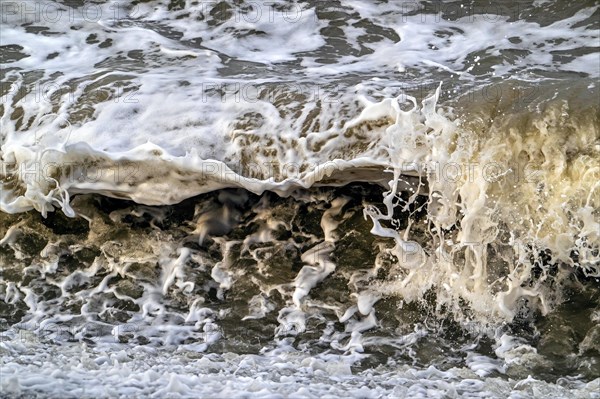 Wave crashing /rolling on beach during winter storm along North Sea coast in Zeeland, Netherlands