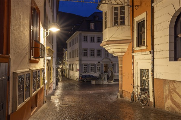 Sumebrunnen, Heumarkt, Old Town, Heidelberg, Baden-Wuerttemberg, Germany, Europe