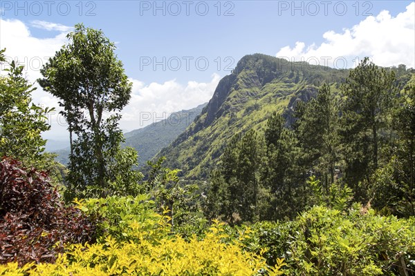 Ella Rock mountain, Ella, Badulla District, Uva Province, Sri Lanka, Asia