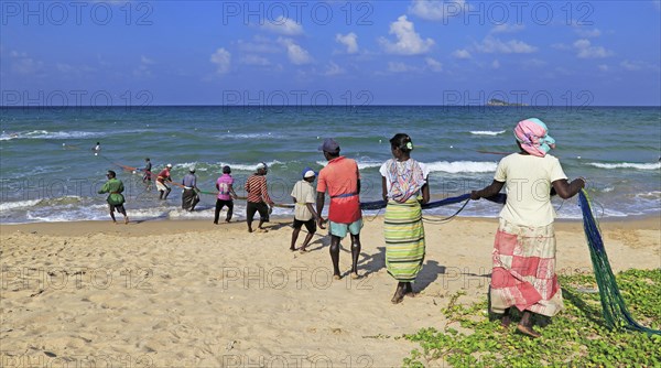 Traditional fishing hauling nets Nilavelli beach, near Trincomalee, Eastern province, Sri Lanka, Asia