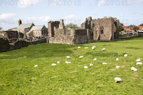 Ruins of Lindisfarne Priory, Holy Island, Northumberland, England, UK