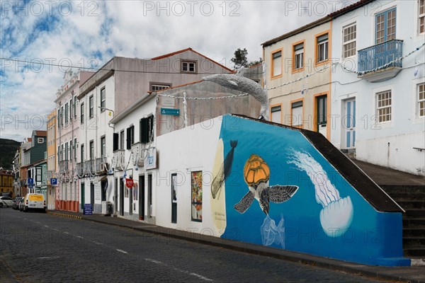 A living mural of a turtle and jellyfish adorns a townhouse, Horta, Faial Island, Azores, Portugal, Europe
