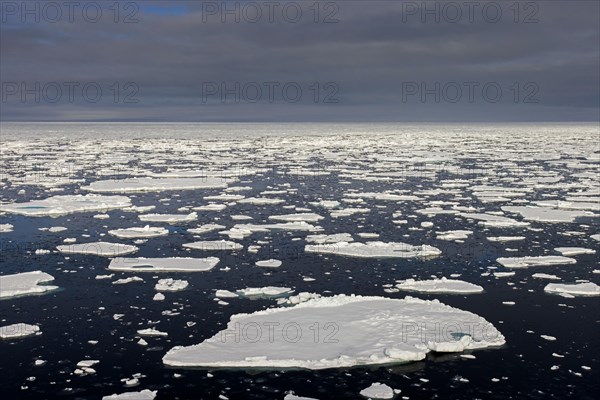 Sea ice, drift ice, ice floes floating in the Arctic Ocean at sunset, Nordaustlandet, North East Land, Svalbard, Spitsbergen, Norway, Europe