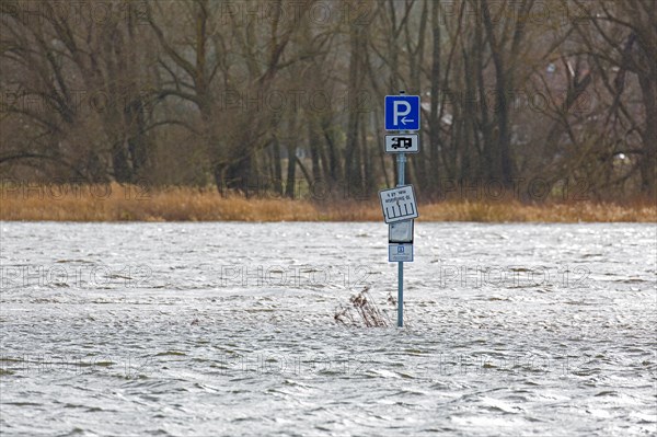 Flooded car park, parking for motorhomes, campervans at Lower Saxon Elbe Valley Biosphere Reserve in winter, Lower Saxony, Niedersachsen, Germany, Europe